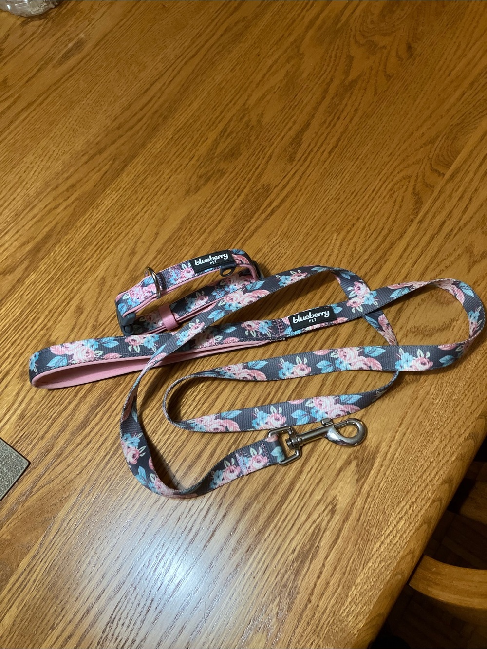 Pet Dog Collar with Matching Leash Blueberry